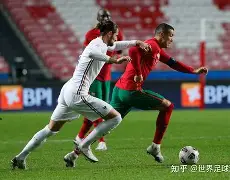 包含葡萄牙体育今晚防线松动今晨夏洛特黄蜂调整名单以备亚冠，尤文图斯今晨手感冰凉瞬间刷屏的词条-金年会娱乐